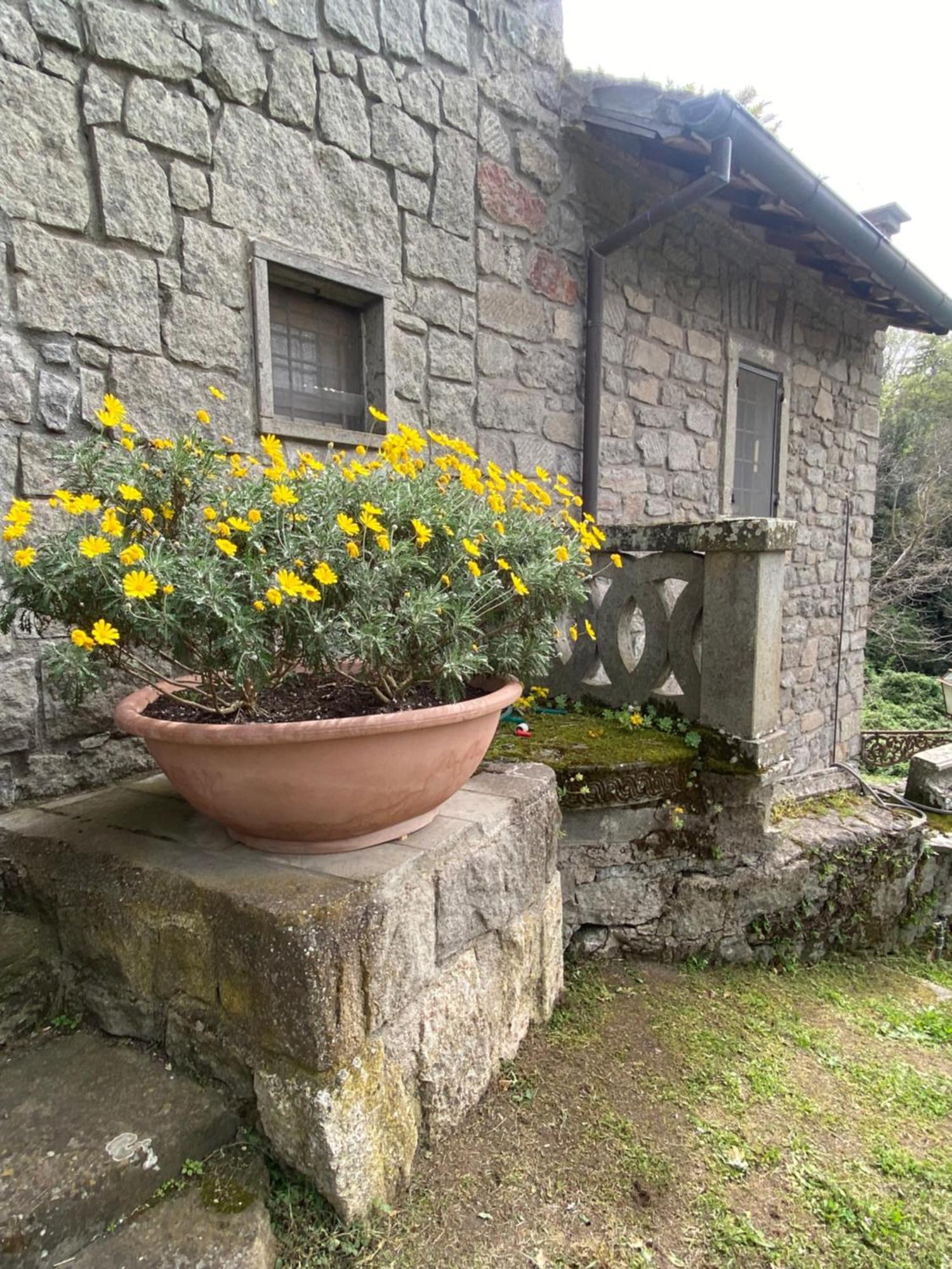 Villa Il Castelletto Della Palanzana Viterbo Esterno foto